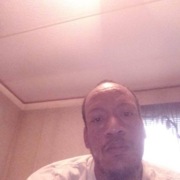 Meet your Posher, Larry - Picture 1 of 1